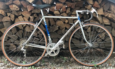vintage nishiki road bike models